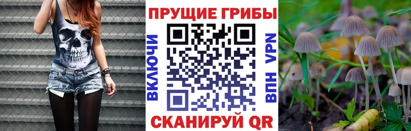 Галлюциногенные грибы прущие грибы Партизанск